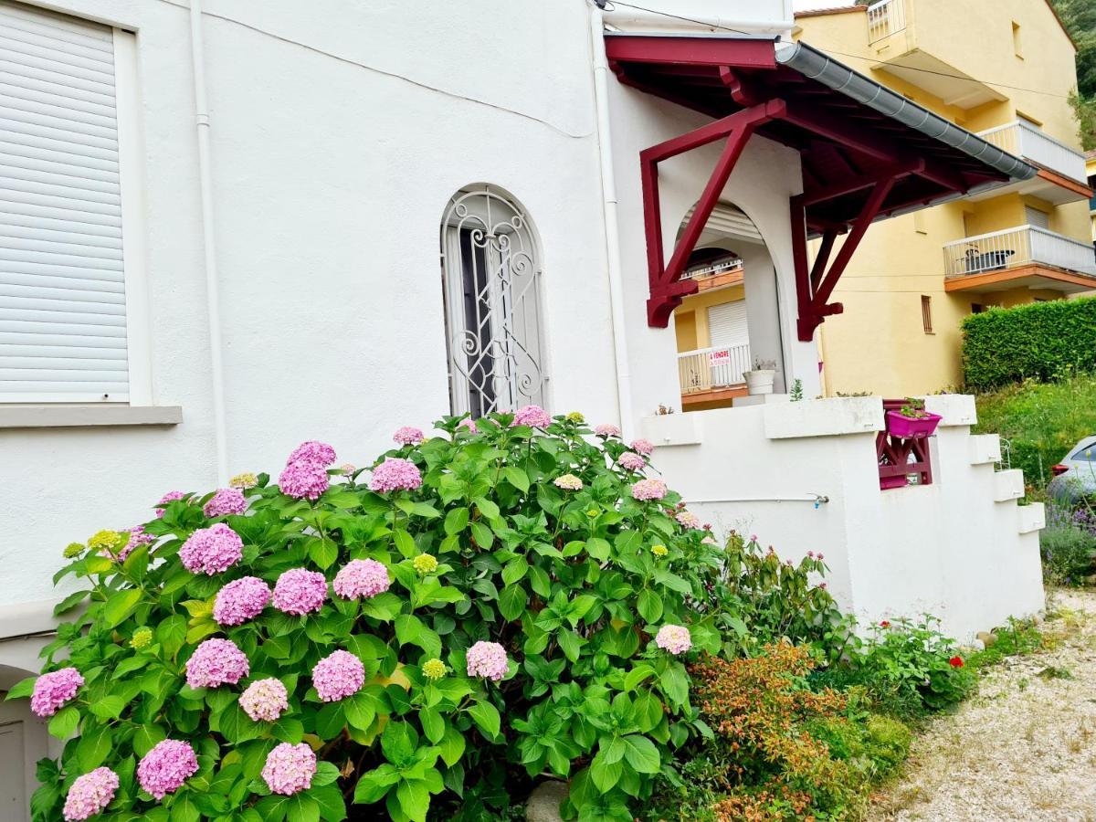 Villa La Closeraie Амелі-ле-Бен-Палальда Екстер'єр фото